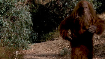 Bigfoot or Bust (2022) download