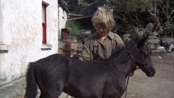 Black Beauty (1971) download