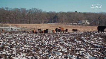 Branching Out with the Acorn Newspapers Toxic Farm Land (2022) download