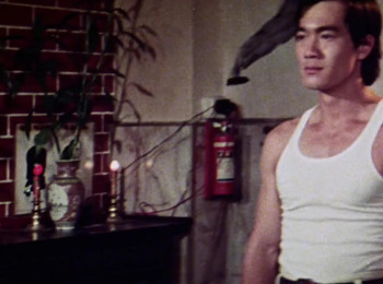 Bruce Lee: The Man, the Myth (1976) download