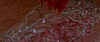 Calamity of Snakes (1982) download