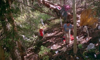 Don't Go in the Woods (1981) download