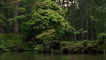 Dream Window: Reflections on the Japanese Garden (1992) download