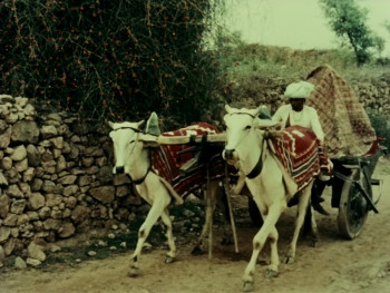 Duvidha (1973) download