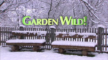 Garden Wild! (2015) download