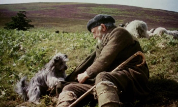 Greyfriars Bobby: The True Story of a Dog (1961) download