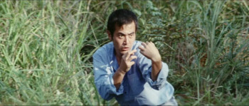 Guai ke (1973) download