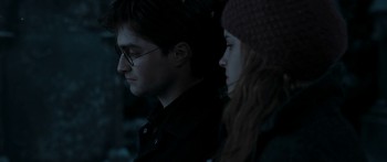 Harry Potter and the Deathly Hallows: Part 1 (2010) download