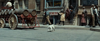 It's a Dog's Life (1955) download