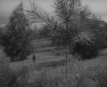 Ivan's Childhood (1962) download