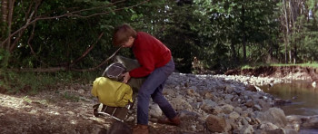 My Side of the Mountain (1969) download