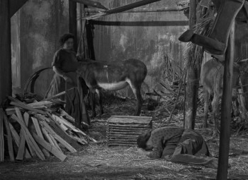 Nazarin (1959) download