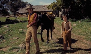 Old Yeller (1957) download