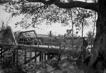 Our Vines Have Tender Grapes (1945) download