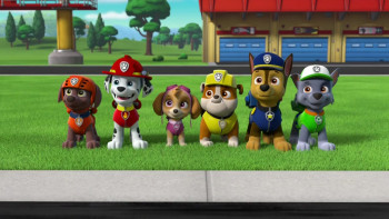 Paw Patrol: Ready, Race, Rescue! (2019) download