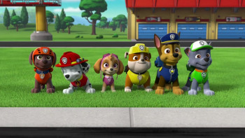 Paw Patrol: Ready, Race, Rescue! (2019) download