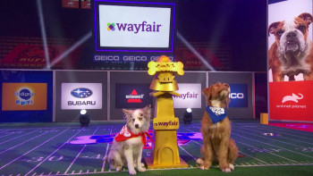 Puppy Bowl XIX (2023) download