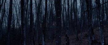 Pyewacket (2017) download