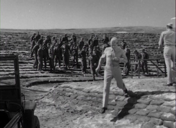 Retreat, Hell! (1952) download