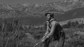 Revenge of the Snakes (1961) download