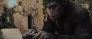 Rise of the Planet of the Apes (2011) download