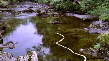 Rivers and Tides: Andy Goldsworthy Working with Time (2001) download