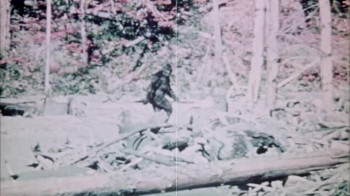 Sasquatch: The Legend of Bigfoot (1976) download