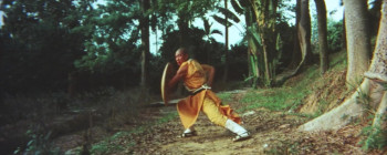 Shaolin vs. Ninja (1983) download