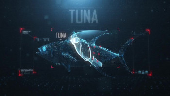 Shark vs Tuna (2018) download