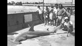 South Beach Shark Club: Legends and Lore of the South Florida Shark Hunters (2022) download