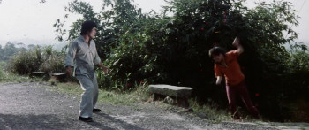 Tang shan hu wei jian sha shou (1974) download