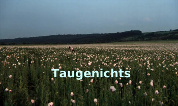 Taugenichts (1978) download