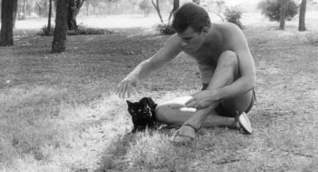 The Black Cat (1966) download