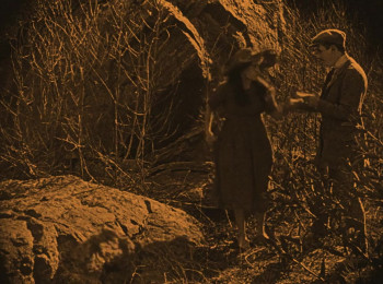 The Broken Butterfly (1919) download