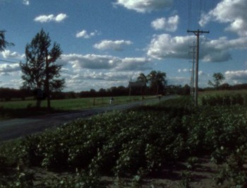 The Dead Next Door (1989) download