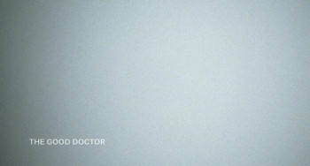 The Good Doctor (2011) download