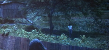 The Swamp of the Ravens (1974) download