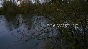 The Wasting (2017) download