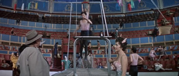 Trapeze (1956) download