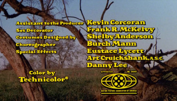 Treasure of Matecumbe (1976) download