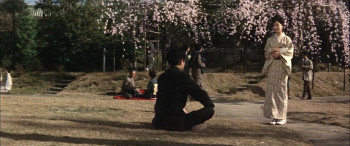 Twin Sisters of Kyoto (1963) download