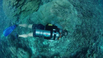 Unforgettable Journeys The Great Barrier Reef and North-East Australia: A Land of Natural Wonders (2009) download