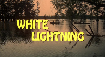 White Lightning (1973) download