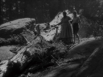 Wild Girl (1932) download