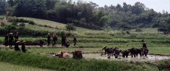 Zatoichi the Outlaw (1967) download